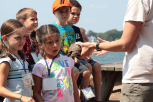 Education & Community Outreach: the popular Environmental Day Camp will celebrate its 20th anniversary in 2015.